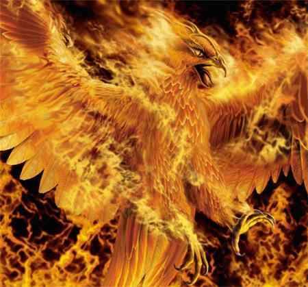 fenix.jpg