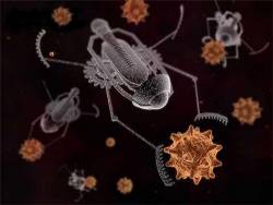 Nanorobots