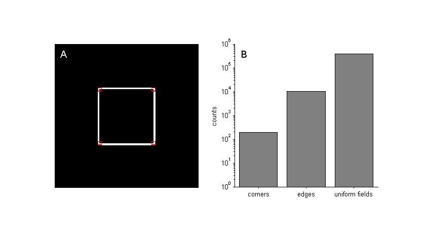 :cursos:visao:2008-1:grupo06:fig1.jpg